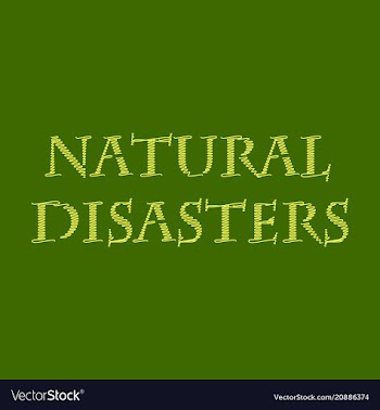 Natural disaster text vector image