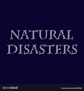 Natural disaster text vector image