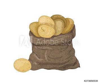 Natural drawing of potato tubers in burlap bag