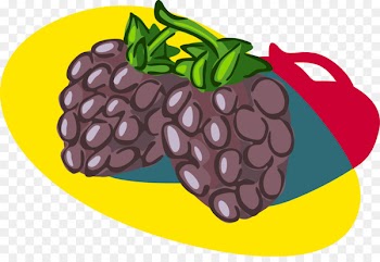 Natural foods Blackberry Student - vector blackberry 