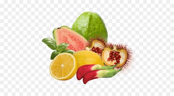 Natural Foods, Food, Orgenetics Inc, Fruit PNG