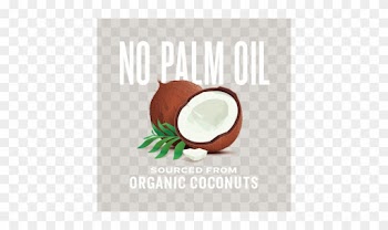 Natural Force Mct Oil Contains No Palm Oil And Is Sourced - Coconut Illustration