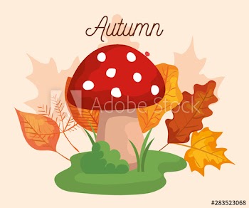 natural fungus with grass and beauty leaves