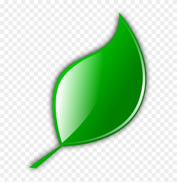 Natural Healthy Cleaning With Tea Tree Essential Oil - Foglia Icona Png