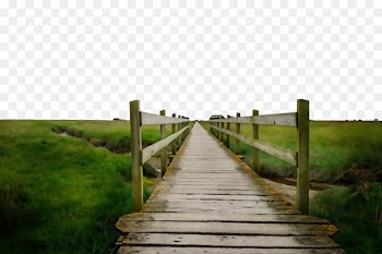 natural landscape nature boardwalk nature reserve walkway