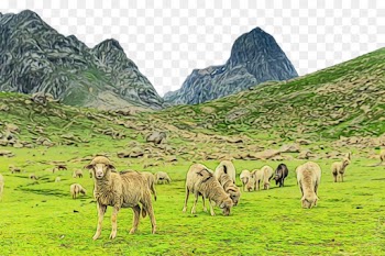natural landscape pasture herd highland mountainous landforms