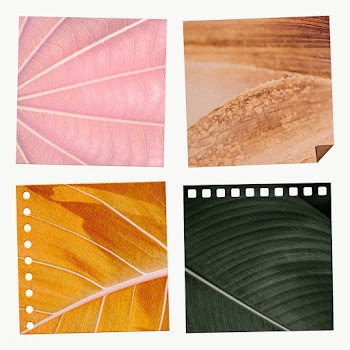 Natural leaf patterned notepaper set design element | Free  transparent png - 2343737