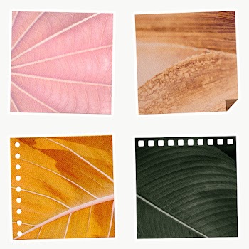 Natural leaf patterned notepaper with white border set design element | Free  transparent png - 2343727