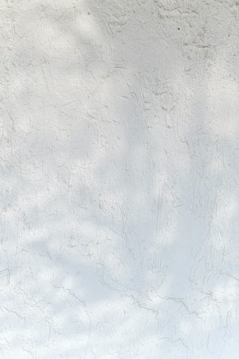 Natural light on a concrete wall | Free  photo - 2263365
