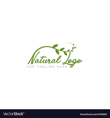 Natural logo design with leaf modern style vector image