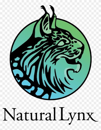 Natural Lynx Creative Studio - Escudo Del Real Madrid