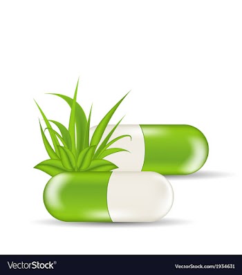  					Natural medical pills with green leaves and grass vector image														