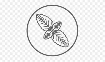 Natural Mint Leaves Help Fight Bad Breath - Snowflake