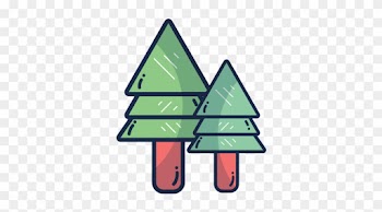 Natural Pine Trees - Pine