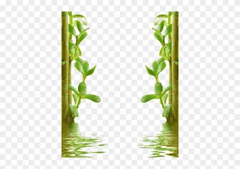 Natural Png - Natural Png