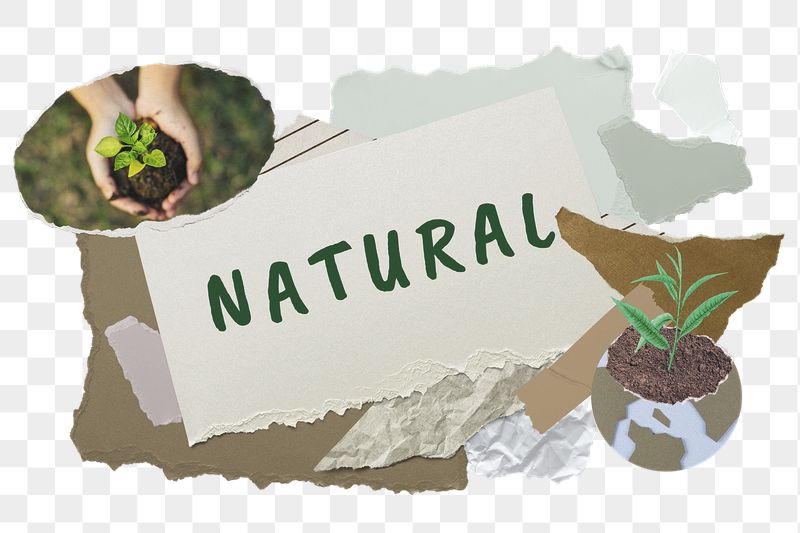 Natural png word sticker typography, | Free PNG - rawpixel