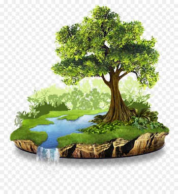 Natural resource Conservation Nature Natural environment - nature 