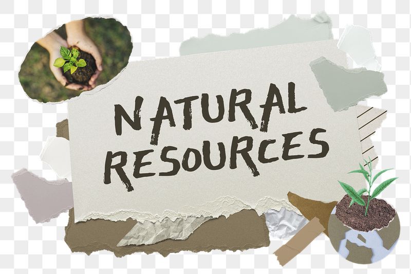 Natural resources png word sticker | Free PNG - rawpixel