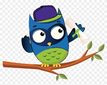 Natural Resources Wales' Education, Learning And Sector - Owl