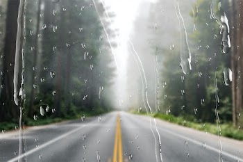 Natural route through window with rain drops | Free stock photo | High Resolution image