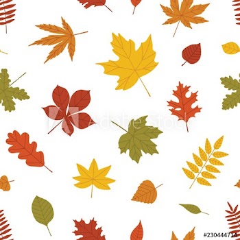 Natural seamless pattern with autumn fallen leaves of forest trees on white background