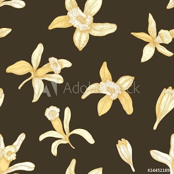 Natural seamless pattern with blooming vanilla flowers on dark background