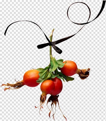 Natural skin care Rose hip Tomato, autumn elements transparent background PNG clipart