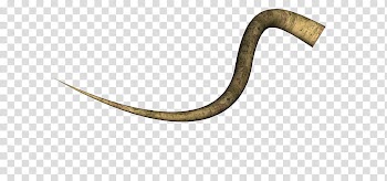 Natural Tentacles, brown animal horn transparent background PNG clipart