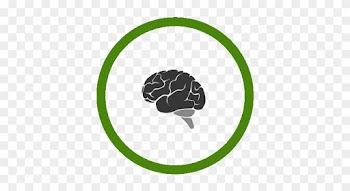 Natural Treatments For Energy &amp; Brain Health - Sloane Square