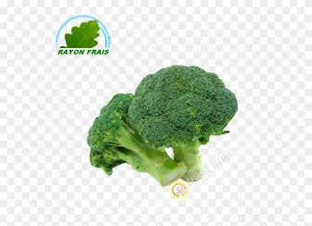 Naturally Treated Organic Broccoli Seeds (50 Seeds)