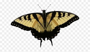 Nature Animal, Butterfly, Insect, Nature - Free Cliparts Schmetterling Blau