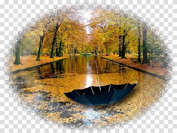Nature Autumn Rain Yandex Water resources, rain transparent background PNG clipart