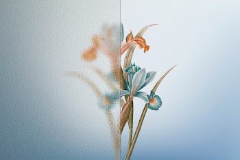 Nature background with flower behind… | Free stock photo | High Resolution image