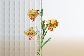 Nature background with flower behind… | Free stock photo | High Resolution image