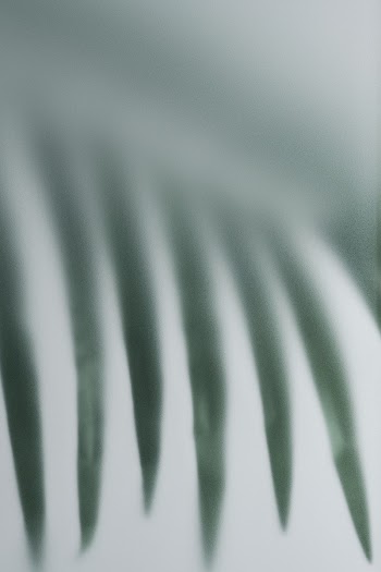 Nature background with leaf behind patterned… | Free stock photo | High Resolution image
