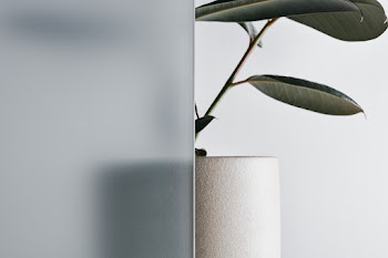 Nature background with leaf behind patterned… | Free stock photo | High Resolution image