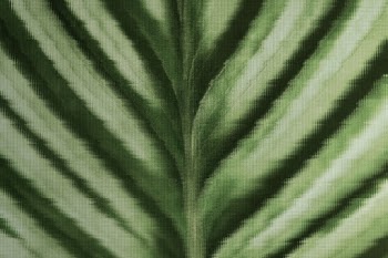 Nature background with leaf behind patterned… | Free stock photo | High Resolution image