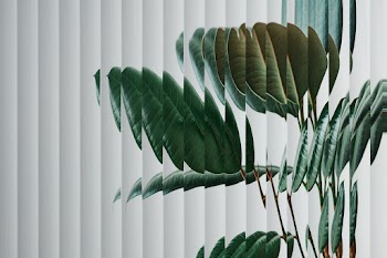 Nature background with leaf behind patterned… | Free stock photo | High Resolution image