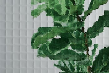 Nature background with leaf behind patterned… | Free stock photo | High Resolution image
