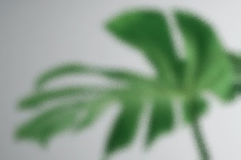 Nature background with leaf behind patterned… | Free stock photo | High Resolution image