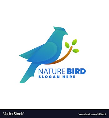 nature bird