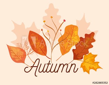 nature branches plants with leaves to autumn season