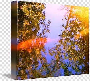 Nature Branching Sky plc, fish koi transparent background PNG clipart