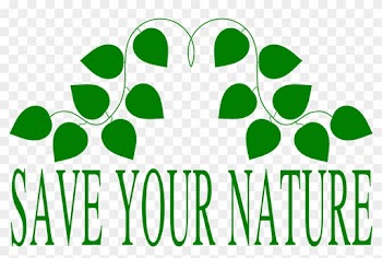 Nature Clipart Transparent - Assofin