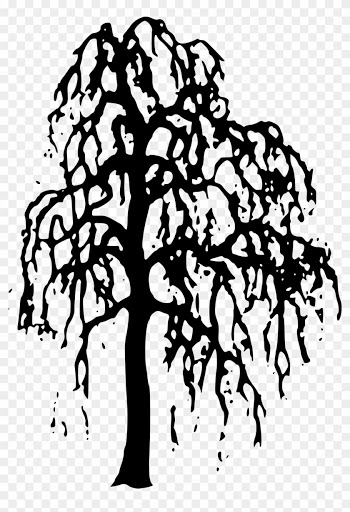 Nature Clipart Willow Tree Clipart Gallery Free Clipart - Black And White Outline Willow Tree