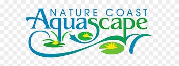 Nature Coast Aquascape - Aquascape