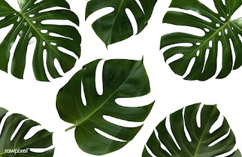Nature environment environmental awareness | Free stock psd mockup - 6514