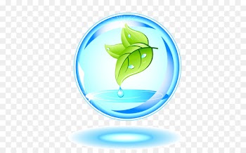 Nature Euclidean vector Graphic design - Water drops in green leaves 