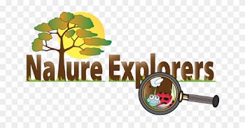 Nature Explorers - One Piece