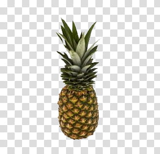 Nature Fillers s, pineapple fruit illustration transparent background PNG clipart